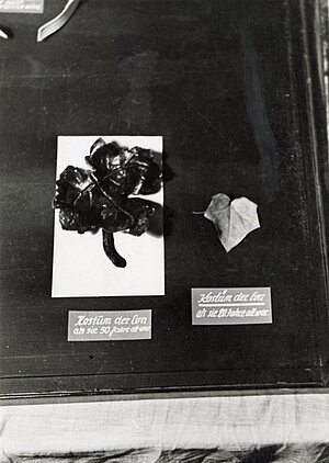 Hugo Friedrich Engel, Karl Valentin, Karl Valentin, Kostüm der Eva, Panoptikum, Foto vermutlich 1939