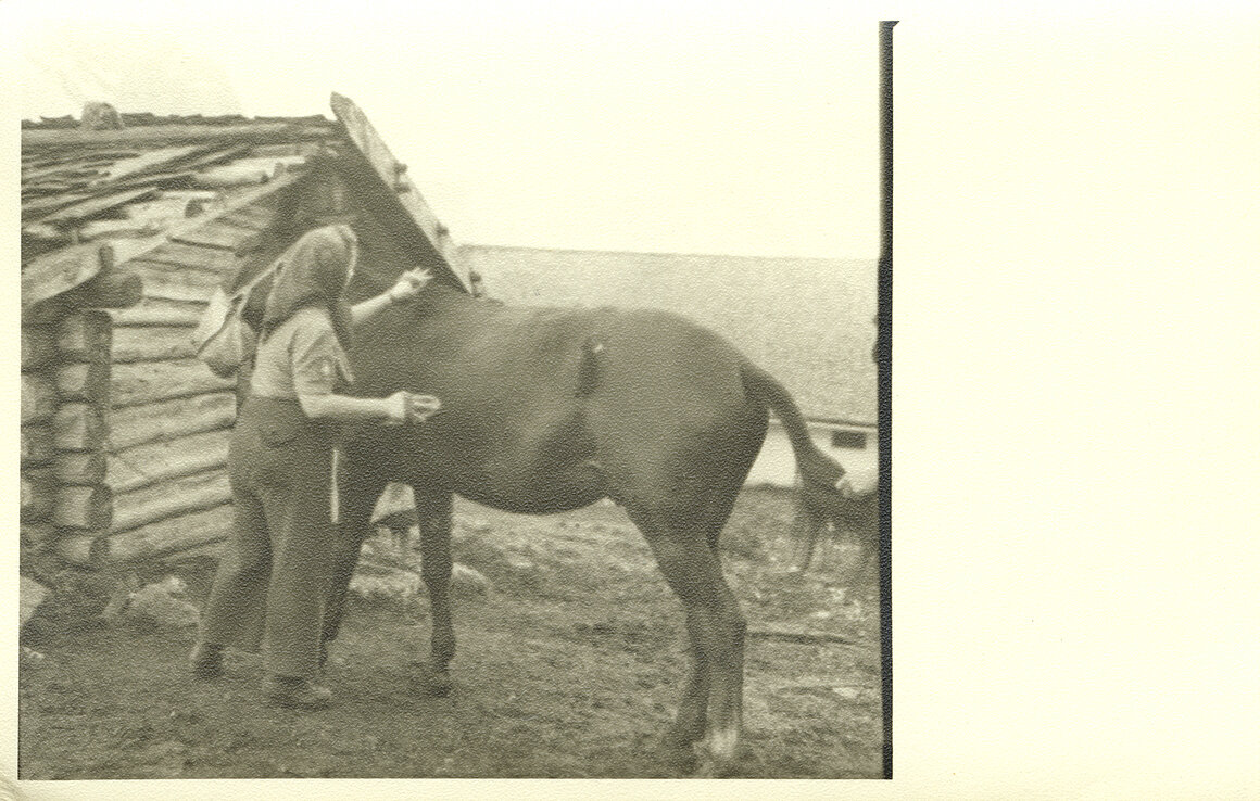 Liesl Karlstadt, Liesl Karlstadt mit Muli als 'Stabsgefreiter' auf der Ehrwalder Alm, 1940-1943